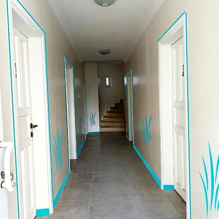 Enjoy