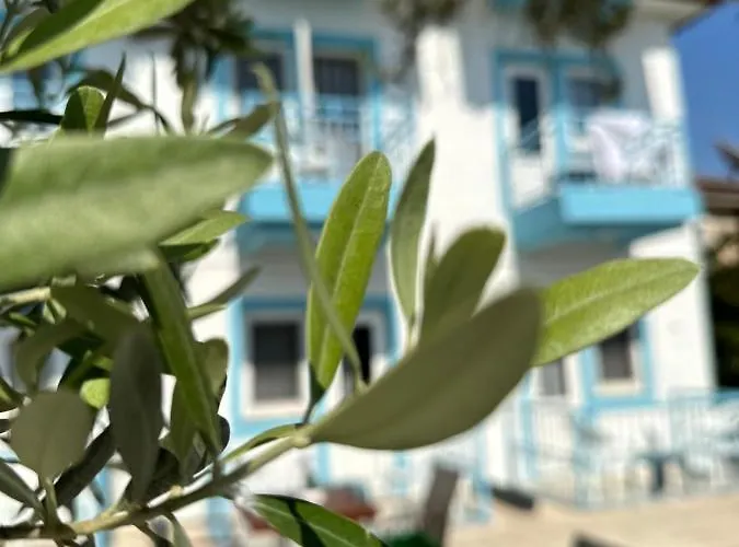 Enjoy Отель типа 