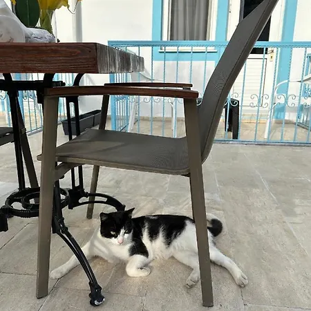 Enjoy 2* فتحية