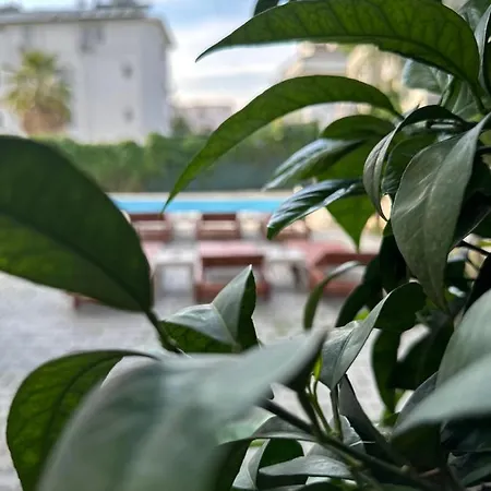 Frühstückspension Enjoy 2*