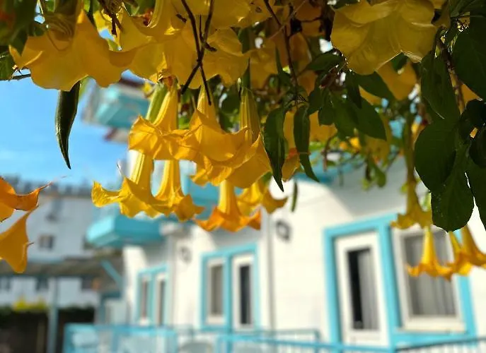 B&B Enjoy Pansiyon 2*