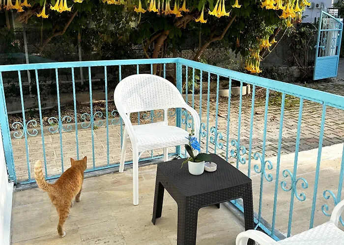 Enjoy Hotel Bed & Breakfast Fethiye