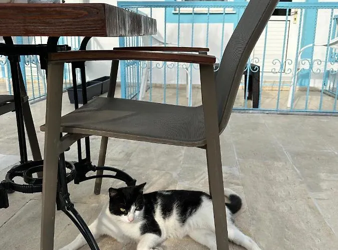 Enjoy Pansiyon 2* פאטהיה